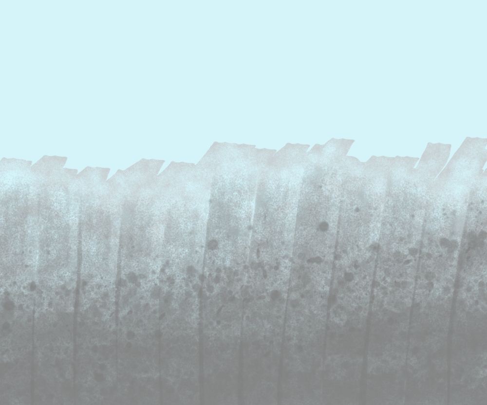 checkpoint cover