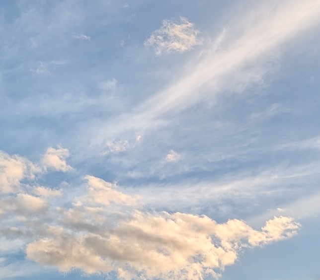 norwich sky